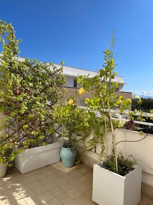 Attico Con Terrazza E Idromassaggio Rome